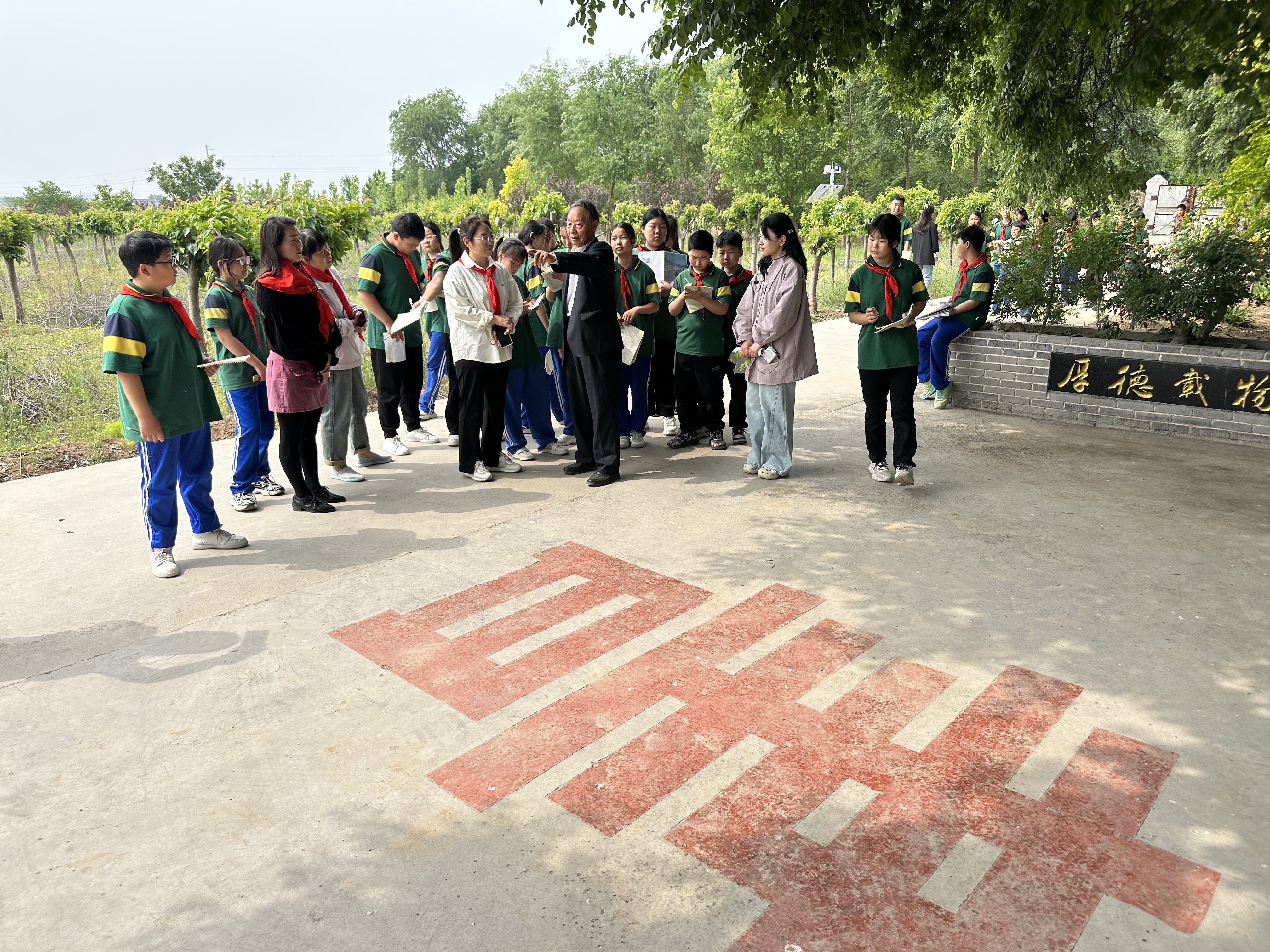 09bacaf35c9d674283662af2aec4a71.jpg