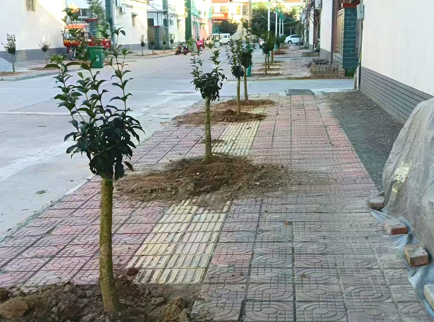 微信图片_20250108145904.jpg