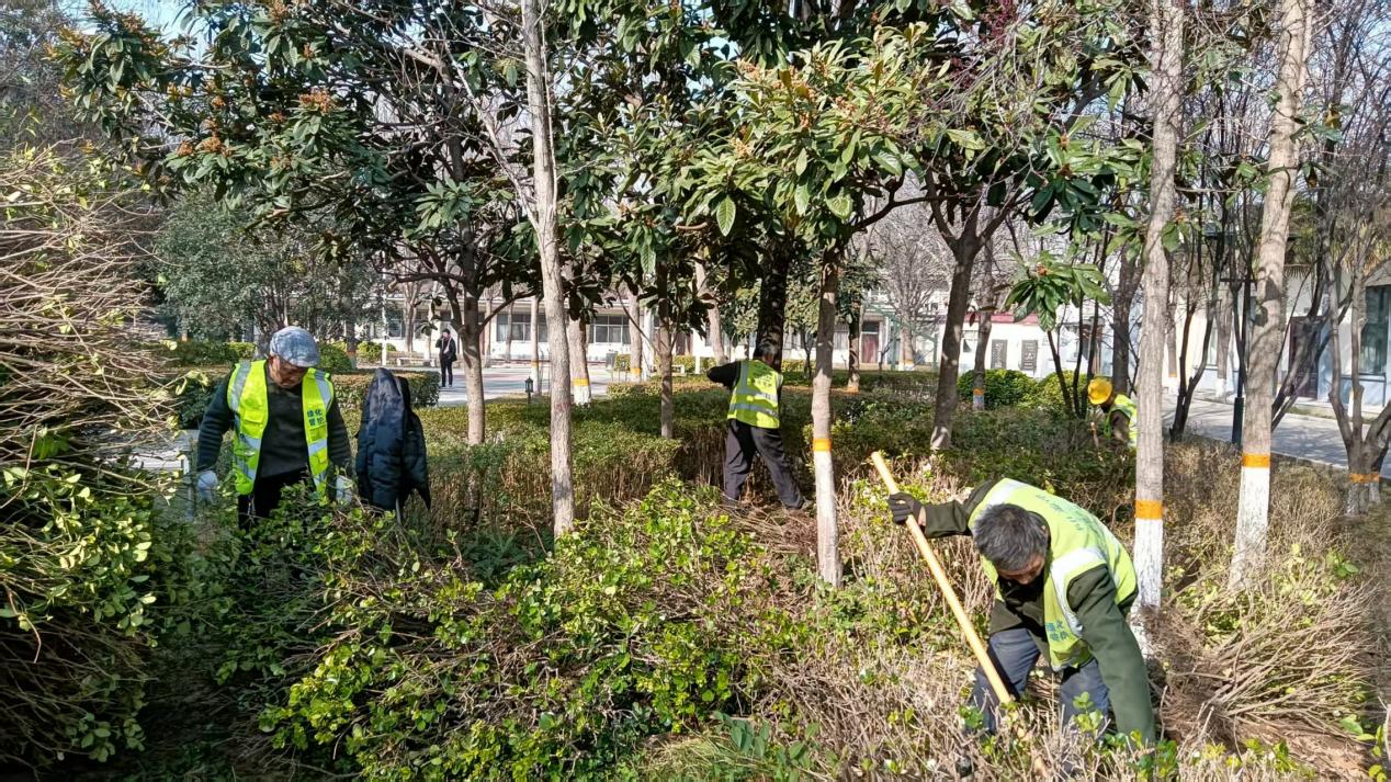 图片4.jpg