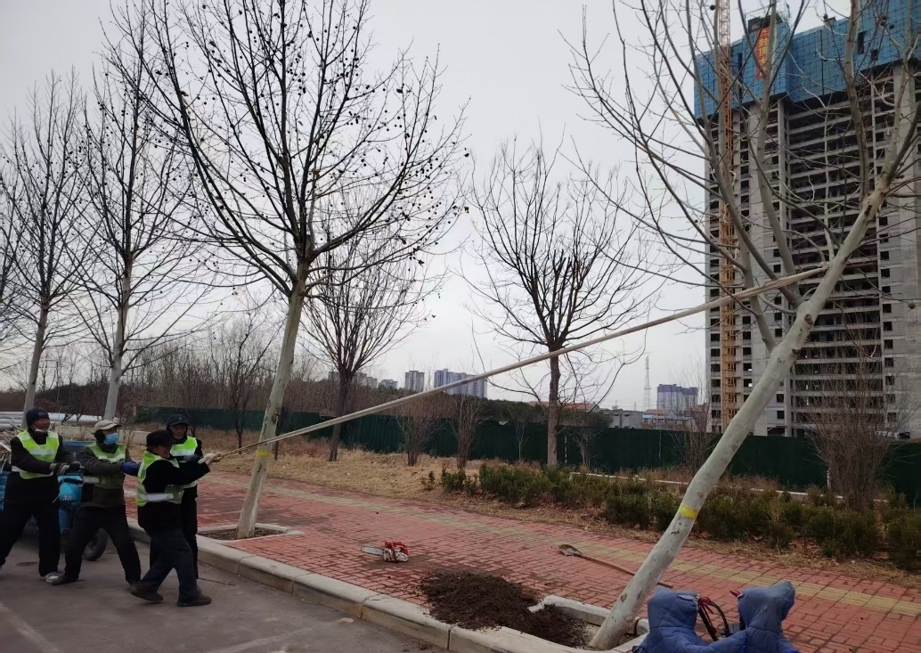 图片5.jpg