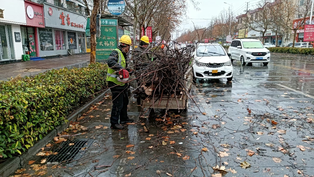 图片6.jpg
