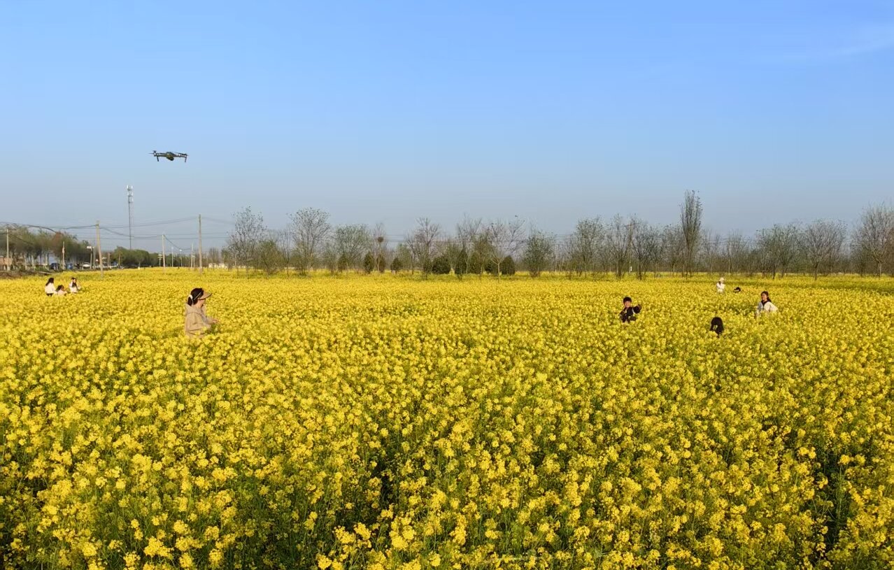 微信图片_20250409100744.jpg