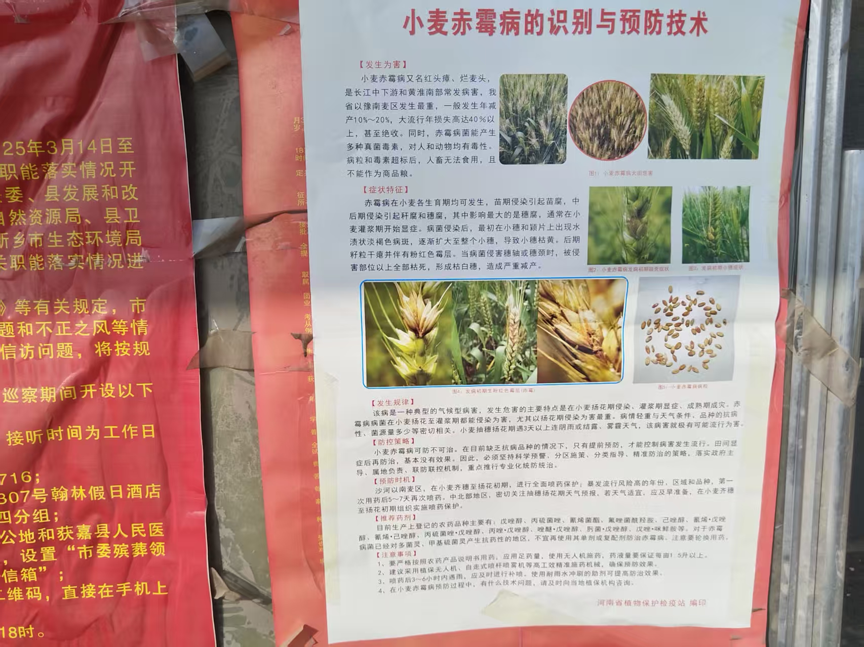 微信图片_20250418173446.jpg